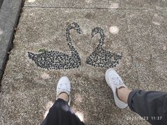 -海珠湖公园