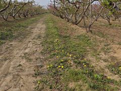 -运城新绛合盛铜火锅