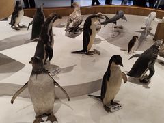-青岛海底世界-水族馆