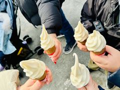 -富豪雪糕车流动点(尖沙咀店)
