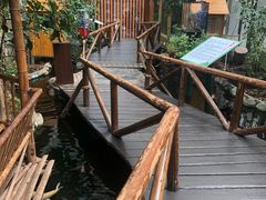 -上海大自然野生昆虫馆(东方明珠·爬宠昆虫探索中心)
