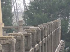 -武汉大学-樱园