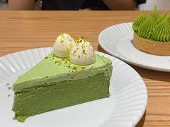 开心果巴斯克-猫里有甜