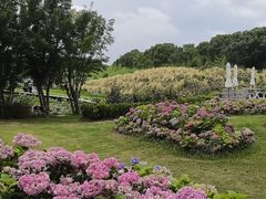 -嘉北郊野公园