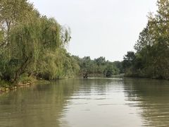 -溱湖国家湿地公园