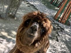 -水上乐园·欢乐世界