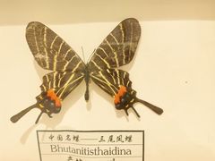 -醉云喃