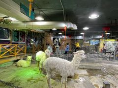 -上海大自然野生昆虫馆(东方明珠·爬宠昆虫探索中心)