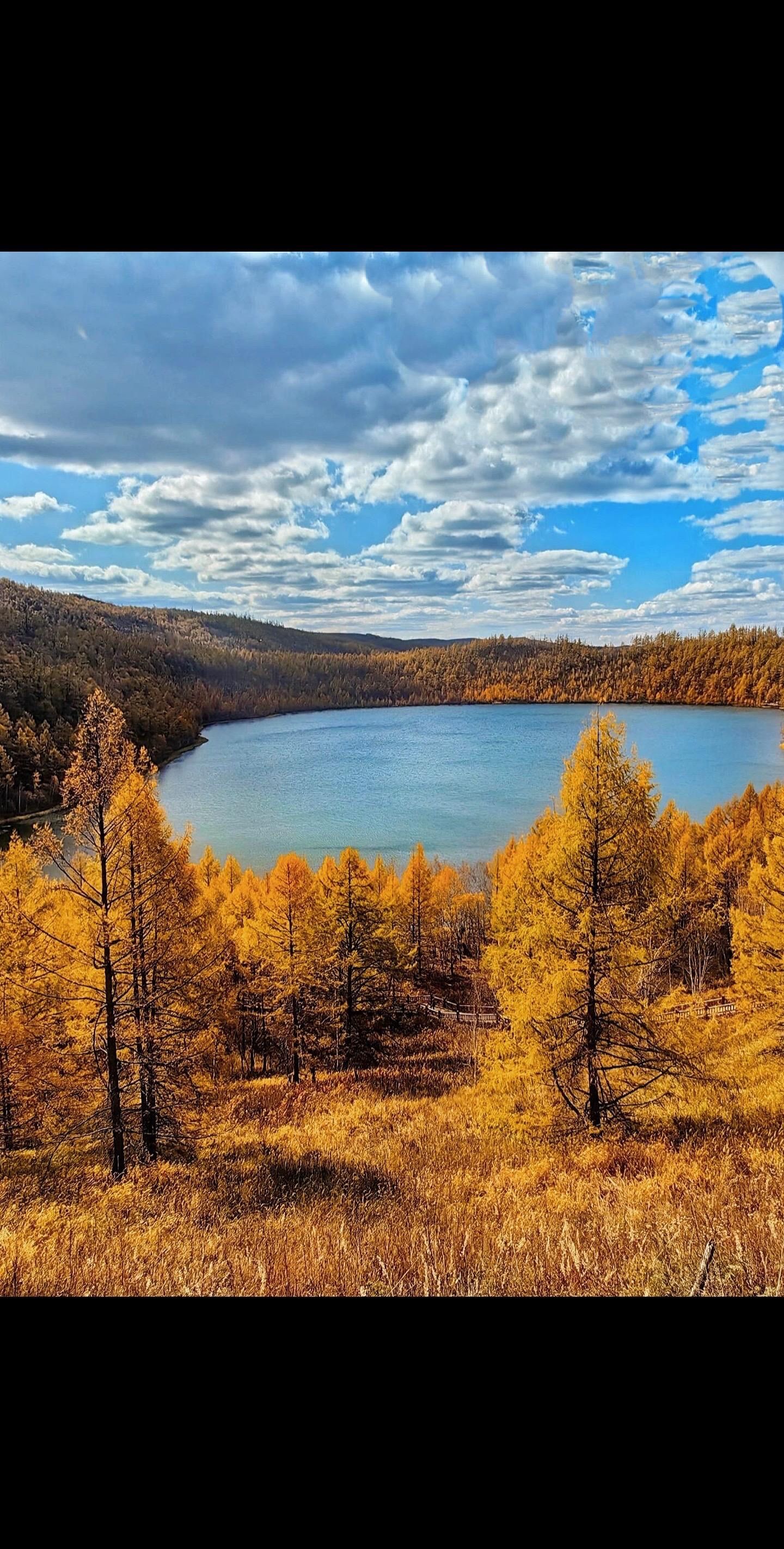 一定不能错过秋天的大兴安岭.🍂
