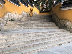 -普陀山风景名胜区-法雨禅寺