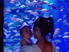 -成都浩海立方海洋公园