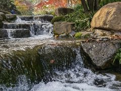 -中国茶叶博物馆(双峰馆区)