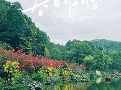-深圳仙湖植物园