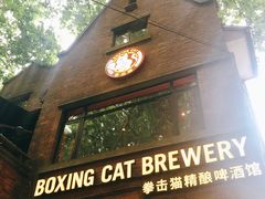 -Boxing Cat Brewery拳击猫精酿啤酒馆(永福店)
