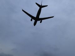 -空港花田景区