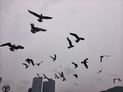 -星海广场
