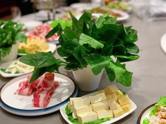 -南山鲜虾面·活鲜小馆·海味大连菜(南山总店)