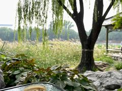 -三忘湖 SWANSEEN(柳荫公园店)