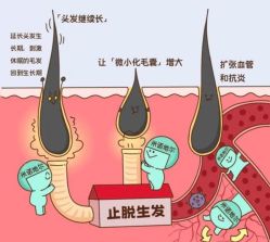 -Bollins波林丝•专研护发中心