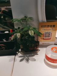 点击看大图 -诗碧曼养发