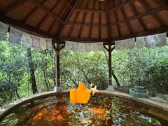 -天目湖涵田半山温泉
