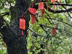 -大理文庙(大理古城)