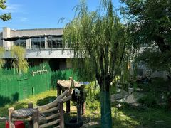 -沈阳森林动物园