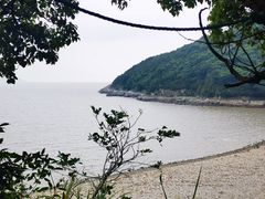 -花岙岛