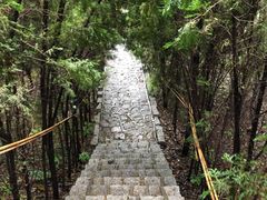 -龙口南山旅游景区