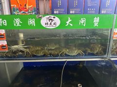 -阳澄湖大闸蟹·琼灵阁牌品牌连锁(吴中总店)