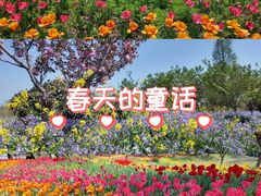 -泗洪洪泽湖湿地景区