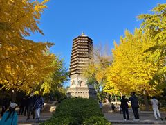 -玲珑塔公园