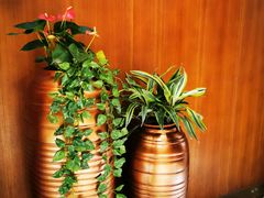 -荣粤酒家·融合粤菜
