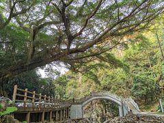 -广州市石门国家森林公园