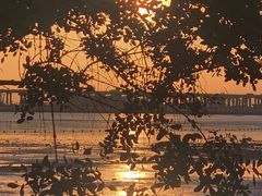 -宝安西湾红树林湿地公园