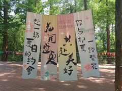 -瑶琳仙境