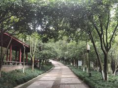 -杭州少年儿童公园