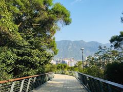 -牛岗山公园
