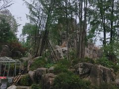 -秀丽东方