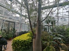 -国家植物园南园