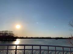 -大兴滨河森林公园