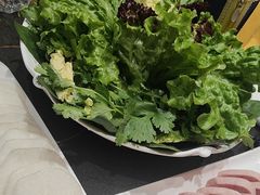 -蒙都43°9羊火锅(平庄店)