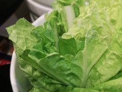 -木王宴语·野生鲜菌火锅(玉河店)