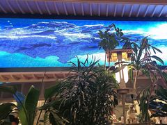 -桂满陇·蟹黄小笼汤包(清河万象店)
