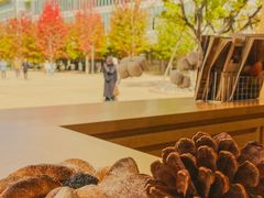 -Cycle&Cycle Artisan(天目里店)