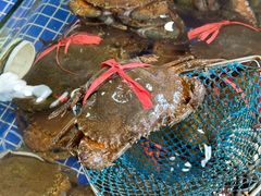 -明记海鲜大排档(巽寮湾店)