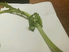 烂菜茼蒿-牛很鲜潮汕牛肉火锅(朝晖路店)