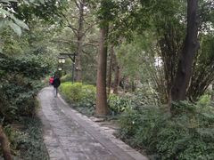-成都市活水公园