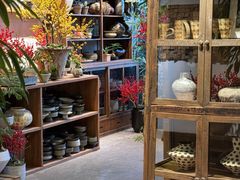 -自由生长植物工作室(深港花卉中心店)
