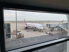 -上海浦东国际机场-T2航站楼